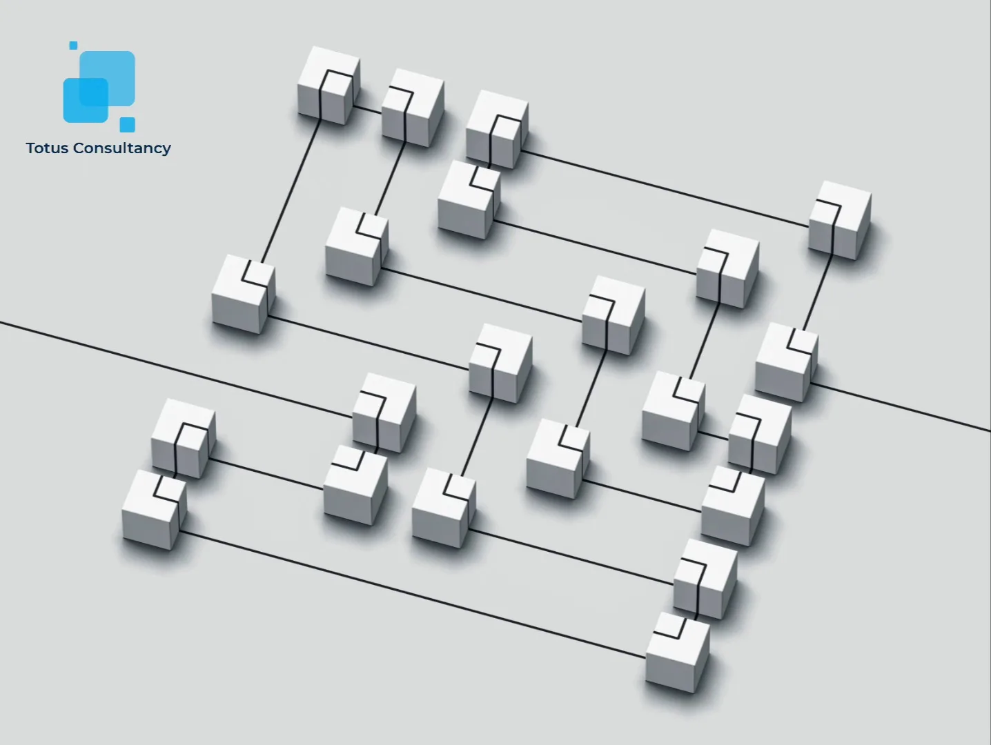 Totus Consultancy
